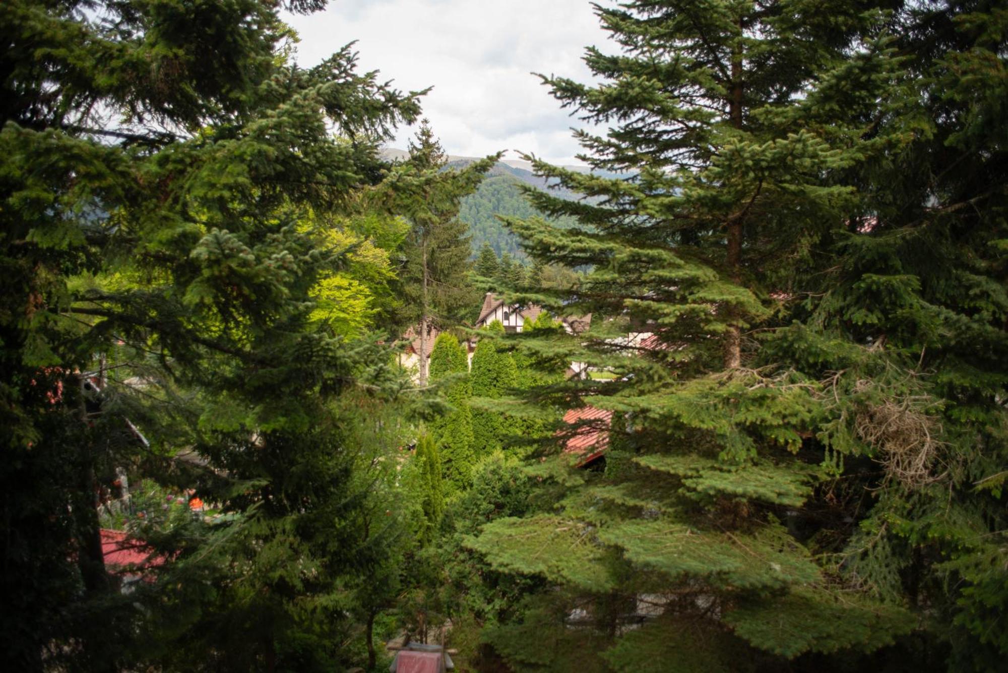 Villa Sara In Sinaia Near Peles & Gondola Bagian luar foto